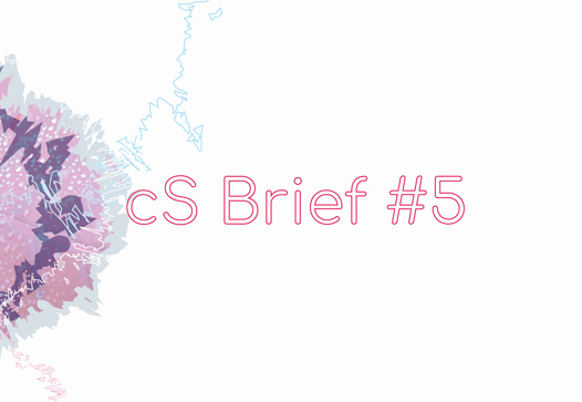 CS-VISUEL-BRIEF-a-0420-5 CS-VISUEL-BRIEF-a-0420-5