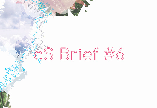 CS-VISUEL-BRIEF-a-0420-6 CS-VISUEL-BRIEF-a-0420-6