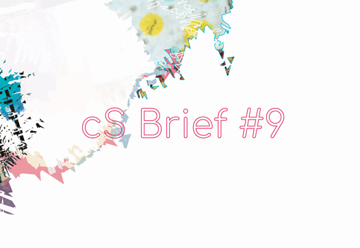 CS-VISUEL-BRIEF-a-0420-9 CS-VISUEL-BRIEF-a-0420-9