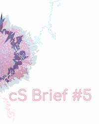 CS-VISUEL-BRIEF-b-0420-5