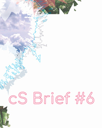 CS-VISUEL-BRIEF-b-0420-6