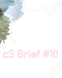 cs-brief10-visual cs-brief10-visual