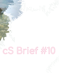 cs-brief10-visual