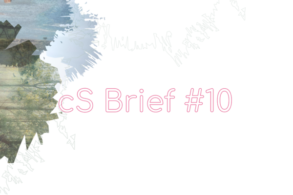 cs-brief10-visual-b cs-brief10-visual-b