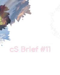 cs-brief11-visual