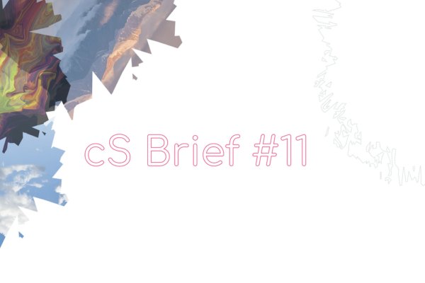 cs-brief11-visual-b cs-brief11-visual-b