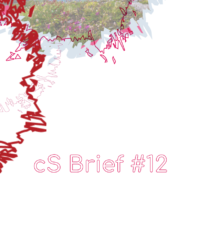 cs-brief12-visual cs-brief12-visual