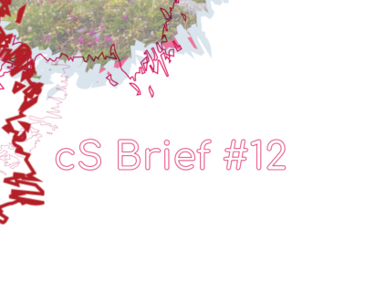 cs-brief12-visual-b cs-brief12-visual-b