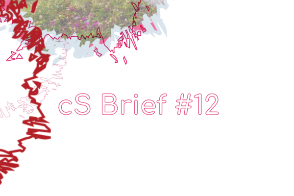 cs-brief12-visual-b cs-brief12-visual-b