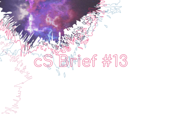 brief 13 brief 13
