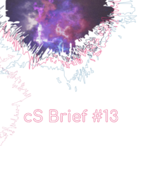 brief 13 cover brief 13 cover