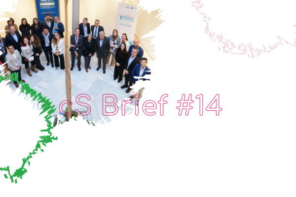 brief 14 brief 14