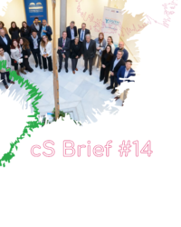 brief 14 cover