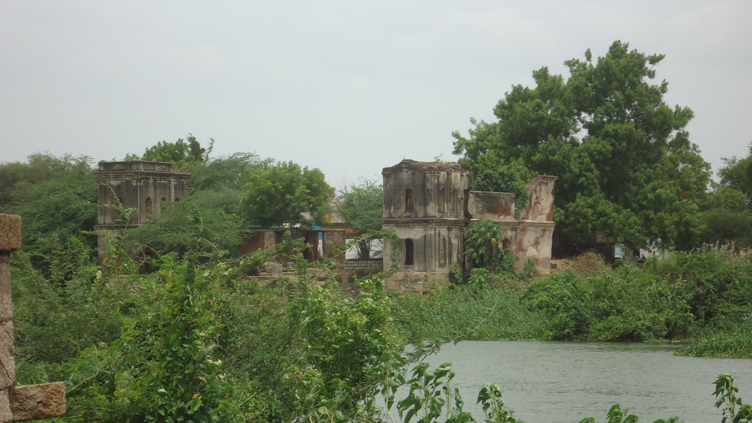 A sense of abandonment encapsulates this image. Once known as the largest Chatram constructed by the Thanjavur Maratha rulers, Vennar Chatram now stands embraced by nature