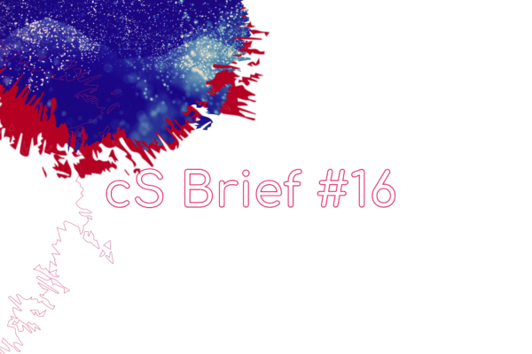 brief 16