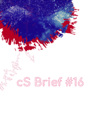 brief 16 cover